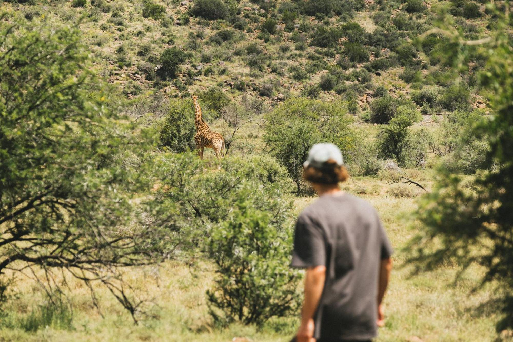 Buccara Wildlife Reserve Graaff-Reinet Buitenkant foto