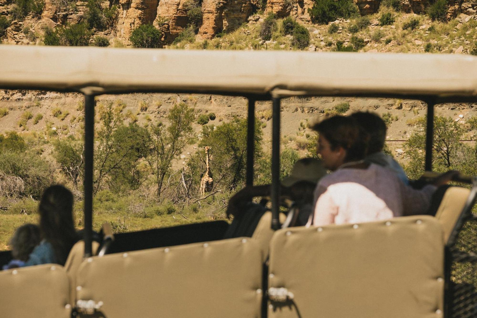 Buccara Wildlife Reserve Graaff-Reinet Buitenkant foto