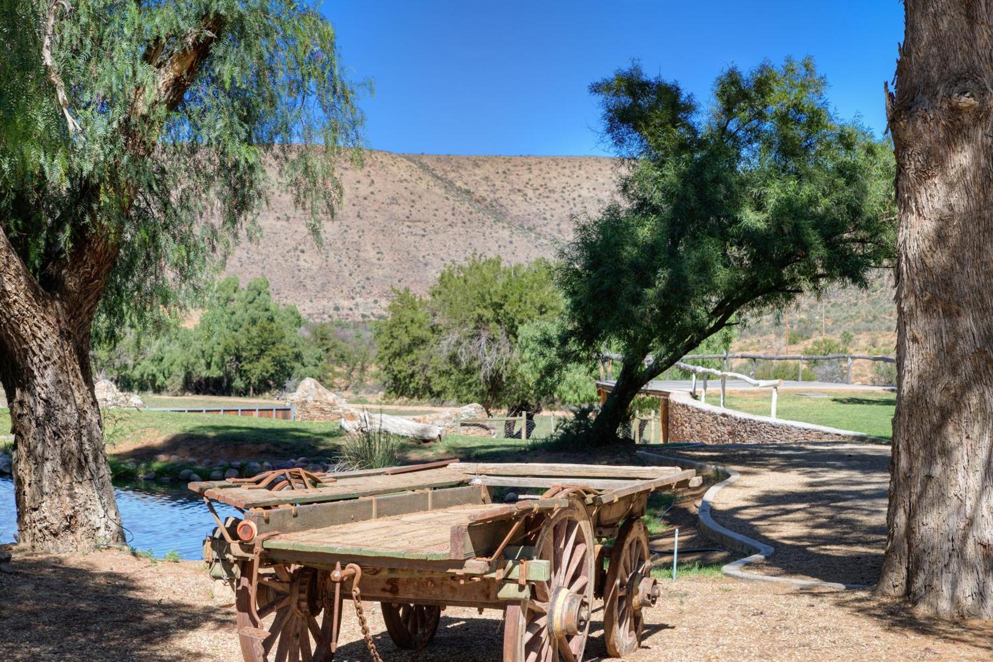Buccara Wildlife Reserve Graaff-Reinet Buitenkant foto